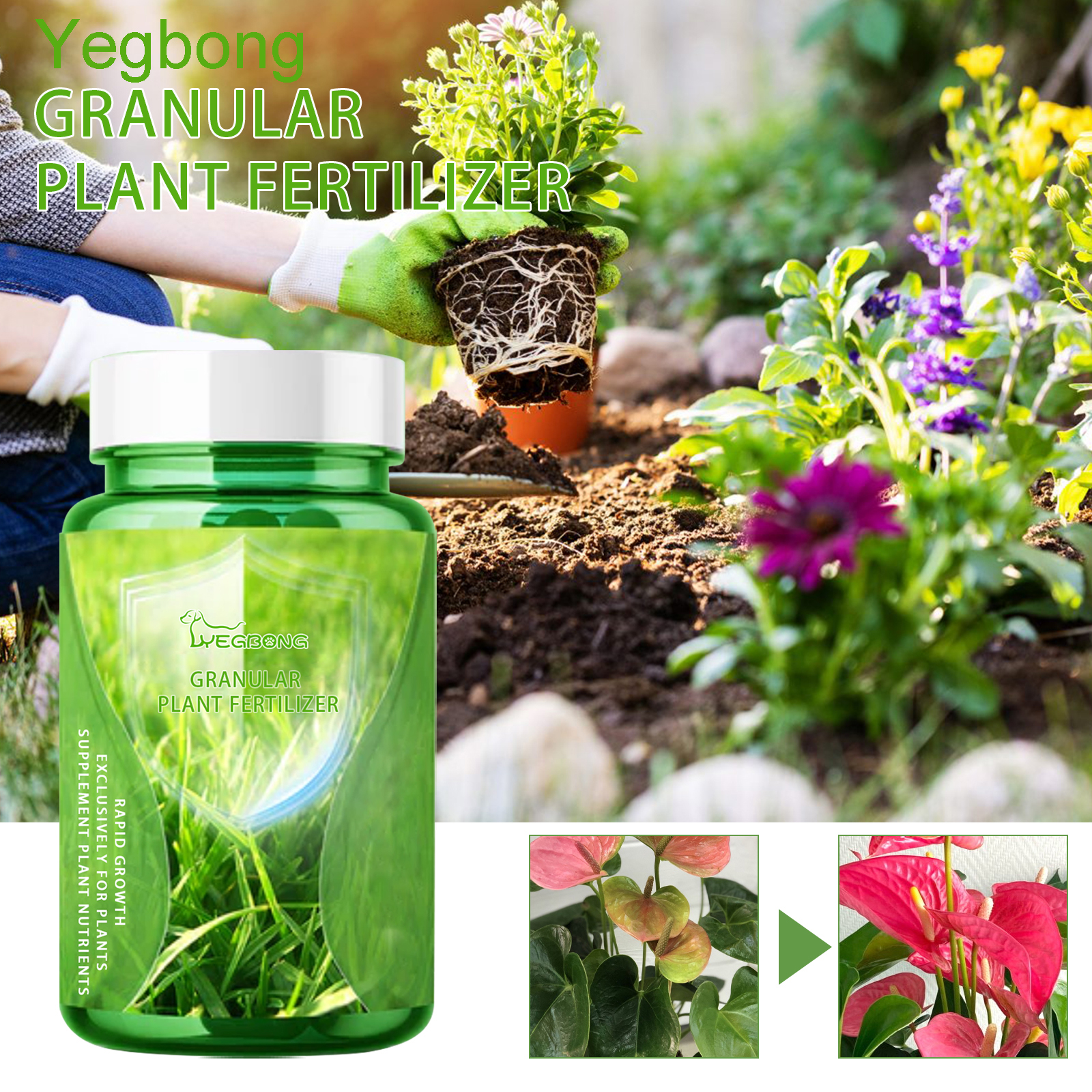 30ML All Purpose Green Plant N – Liquid Fertilizer All In Bewertung und Preis