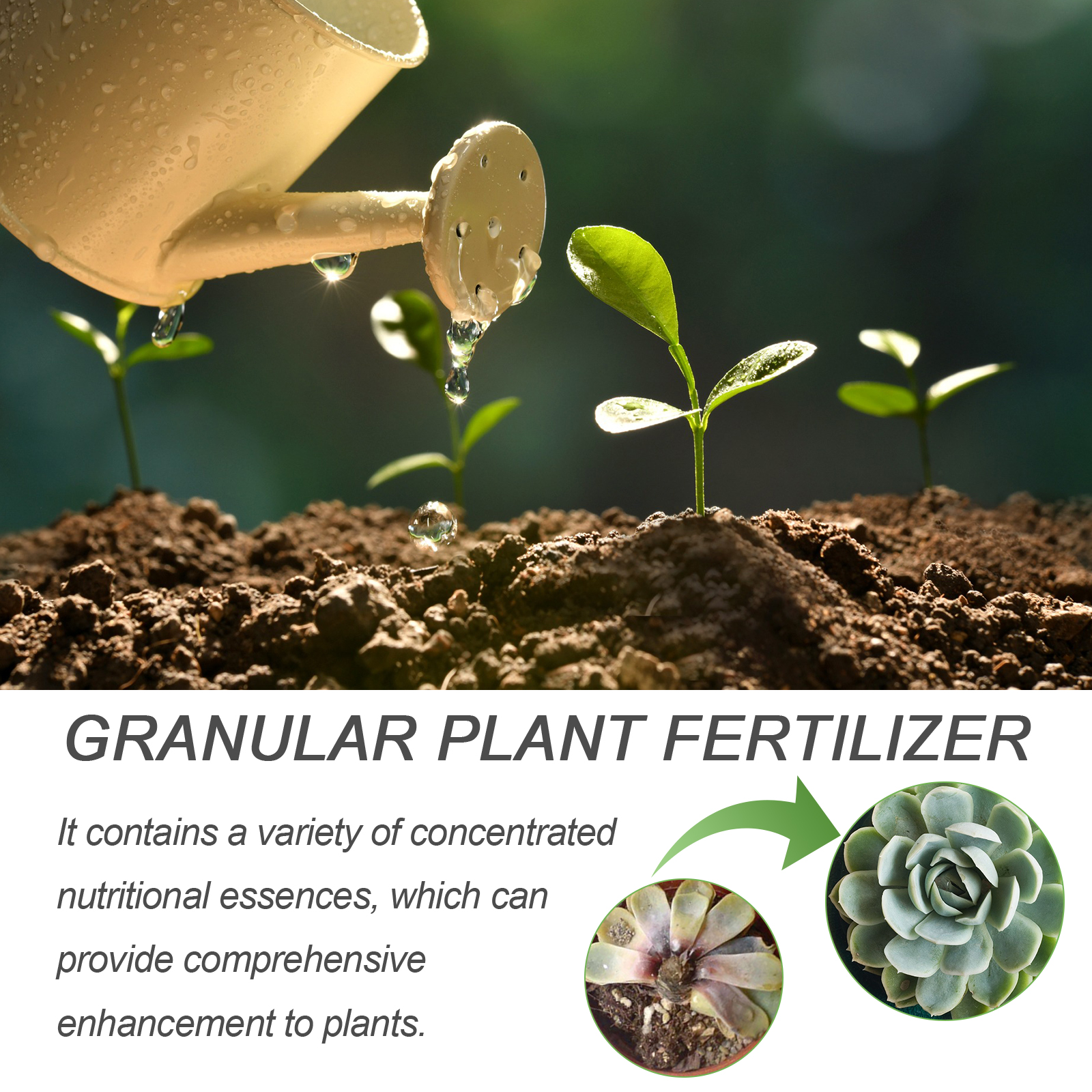30ML All Purpose Green Plant N – Liquid Fertilizer All In Bewertung und Preis