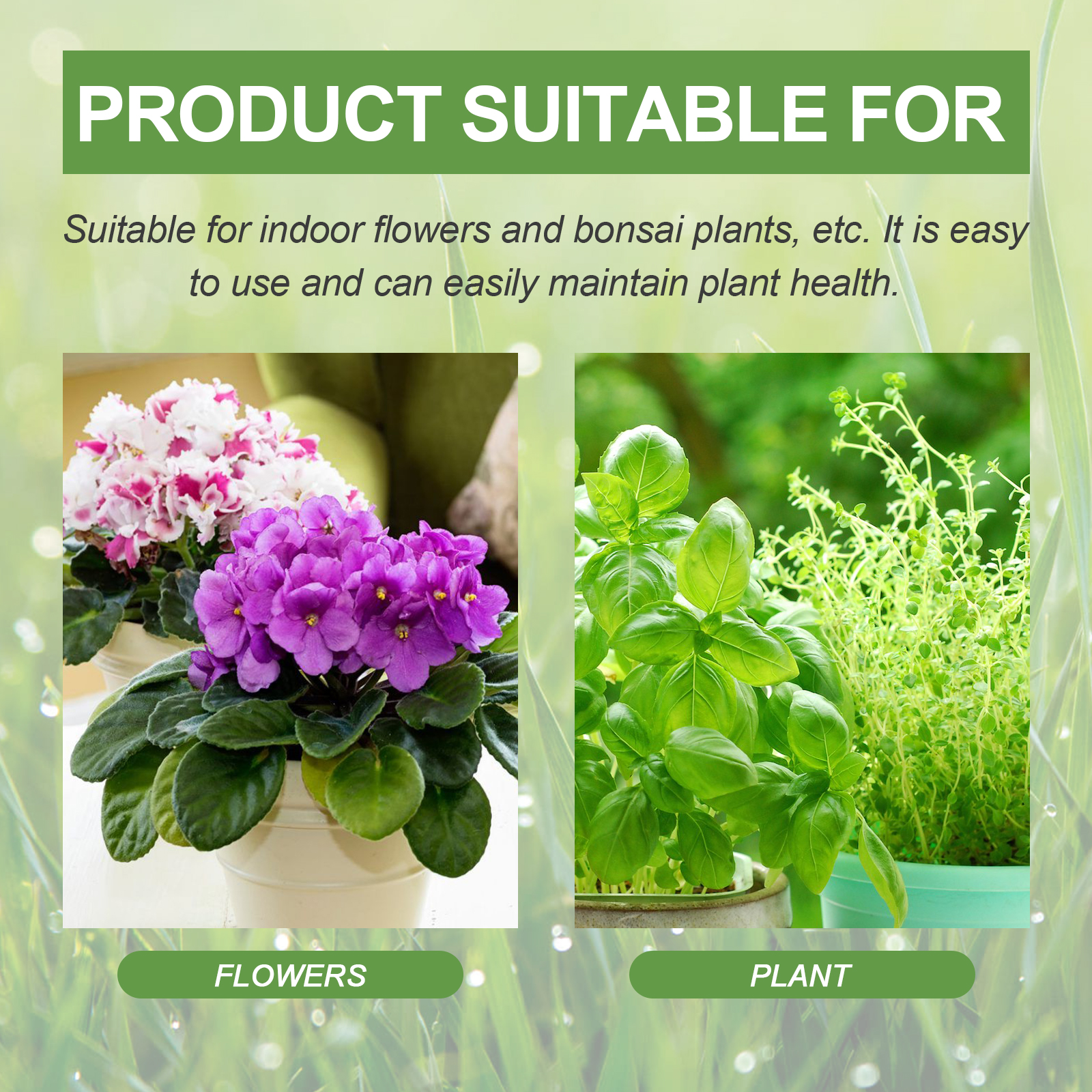 30ML All Purpose Green Plant N – Liquid Fertilizer All In Bewertung und Preis