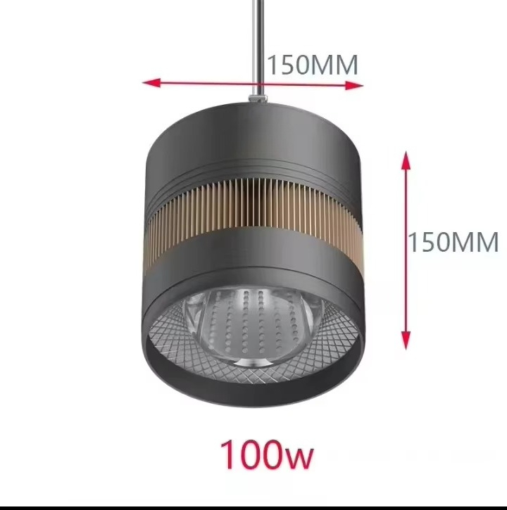Mayin 60/100W Freshwater Aquar – Planted Aquarium For Goldfish Bewertung und Preis