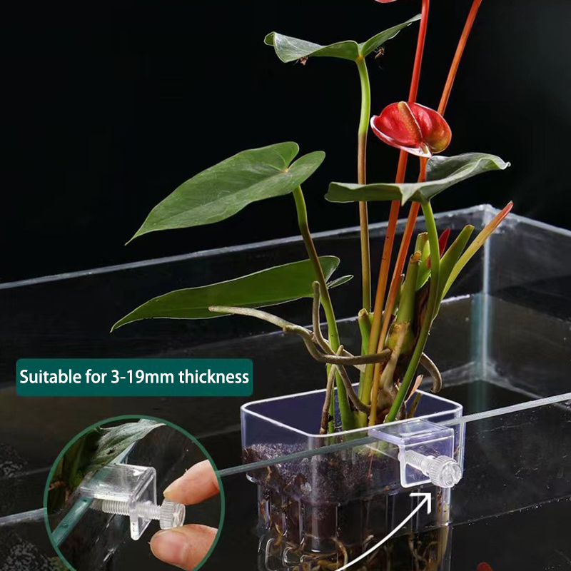 Multifunctional Fish Aquarium  – Aquarium Planted Fish Tank Bewertung und Preis