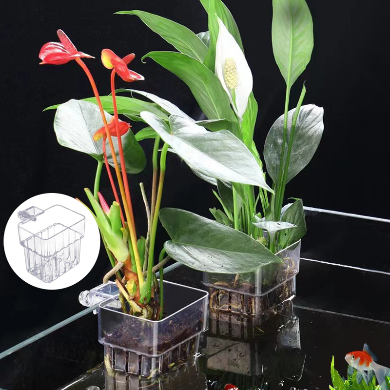 Multifunctional Fish Aquarium  – Aquarium Planted Fish Tank Bewertung und Preis