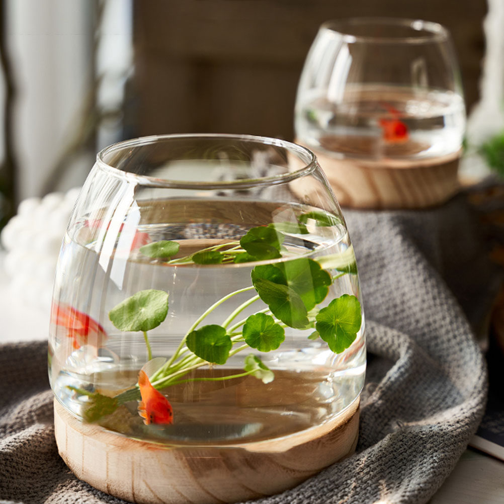 1Set Wooden Base Glass Hydropo – Aquarium Planted Bewertung und Preis