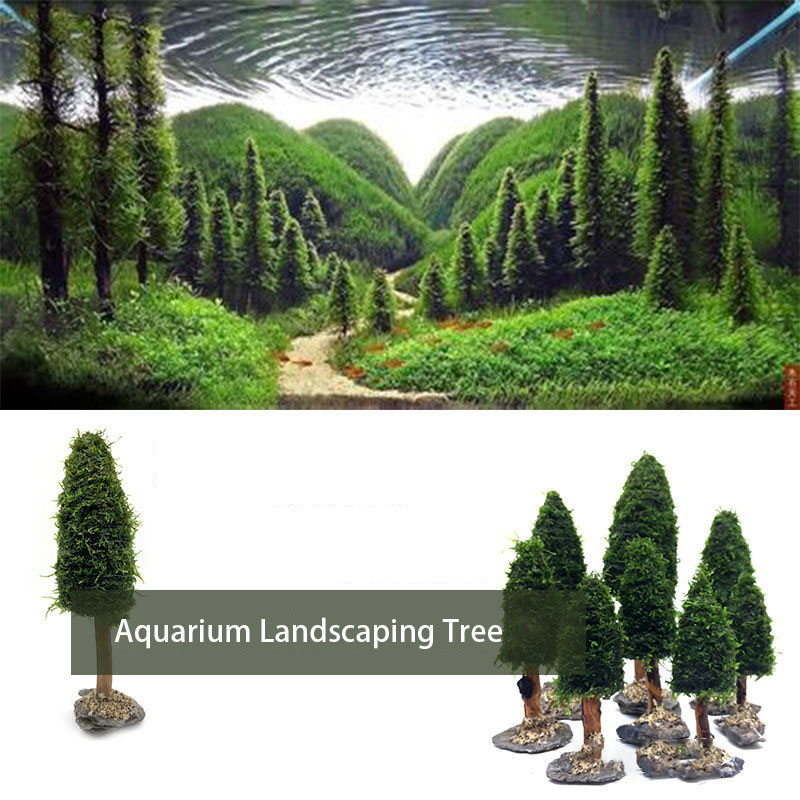 Aquarium Decoration Aquatic Pl – Aquarium Plant Seeds Bewertung und Preis