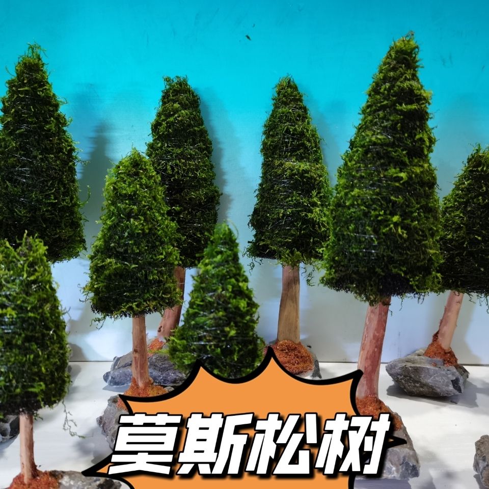 Aquarium Decoration Aquatic Pl – Aquarium Plant Seeds Bewertung und Preis