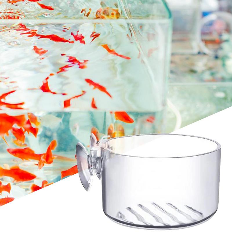 Fish Tank Decoration Accessory – Aquarium Plant Seeds Bewertung und Preis