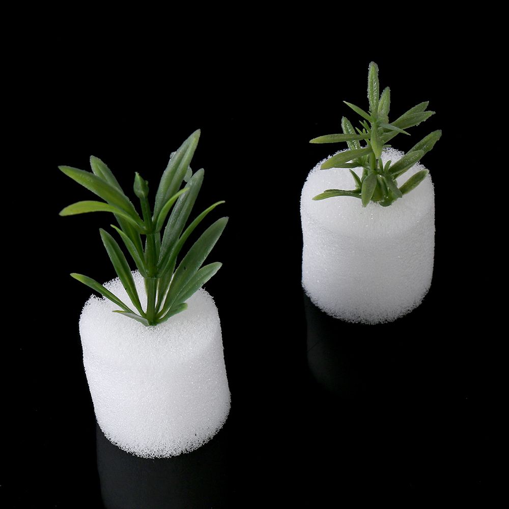 10/50pcs Durable Planting Aqua – Aquarium Plant Seeds Bewertung und Preis