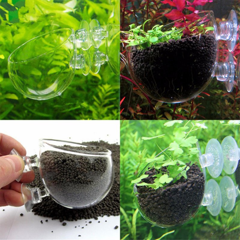 Aquarium Hanging Plant Pot Gla – Aquarium Plant Seeds Bewertung und Preis