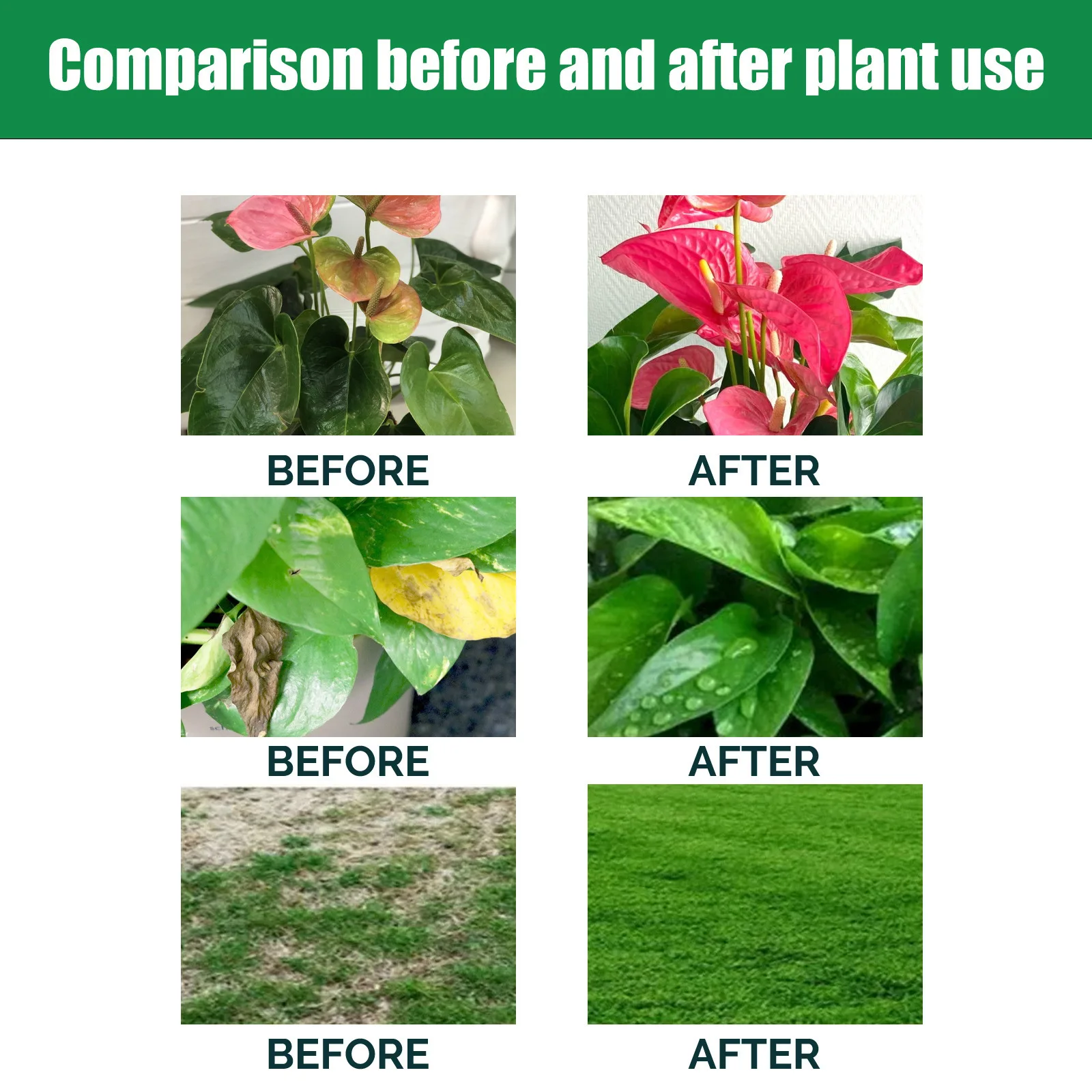 Indoor Potted Plant Fertilizer – Liquid Fertilizer All In Bewertung und Preis