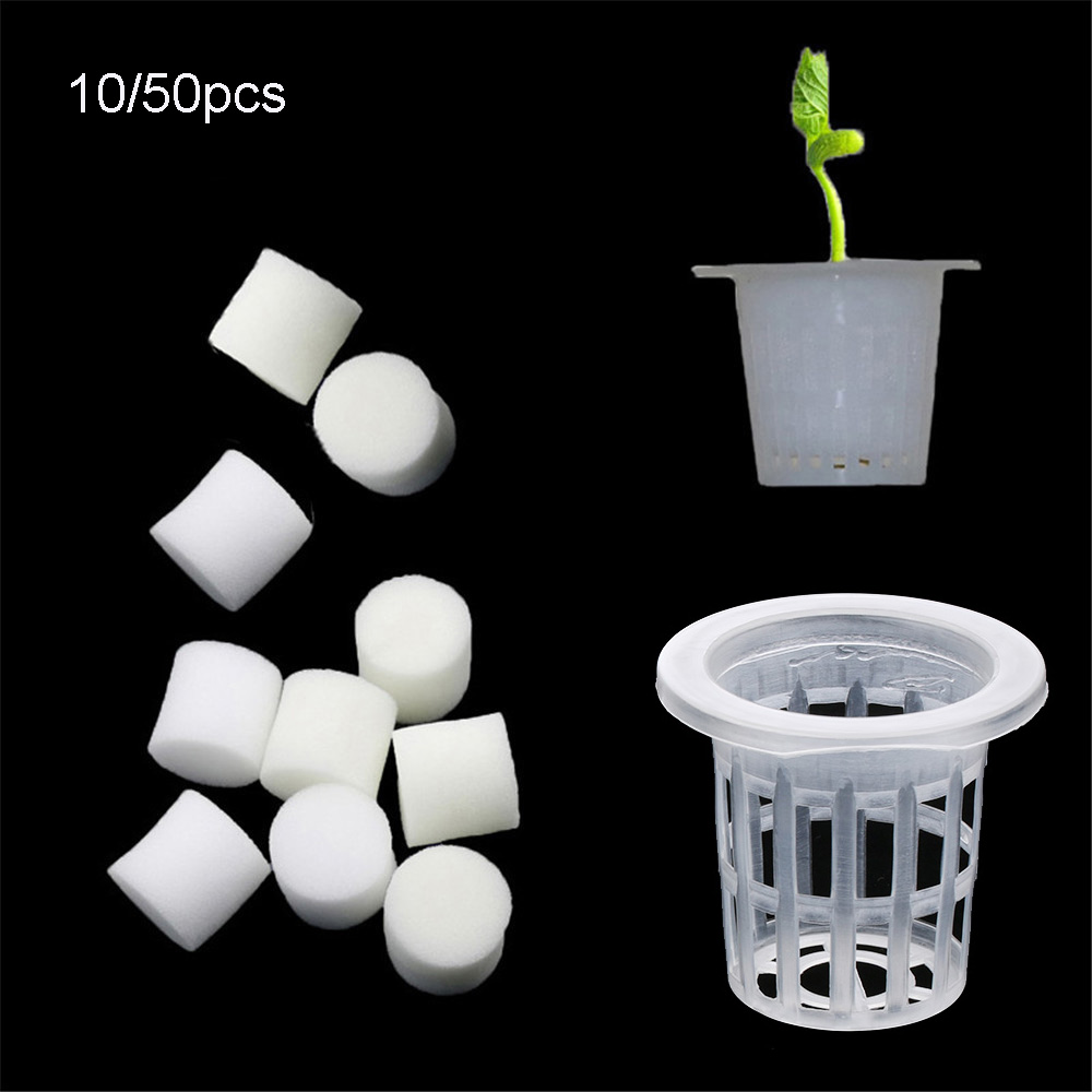 10/50pcs Durable Planting Aqua – Aquarium Plant Seeds Bewertung und Preis