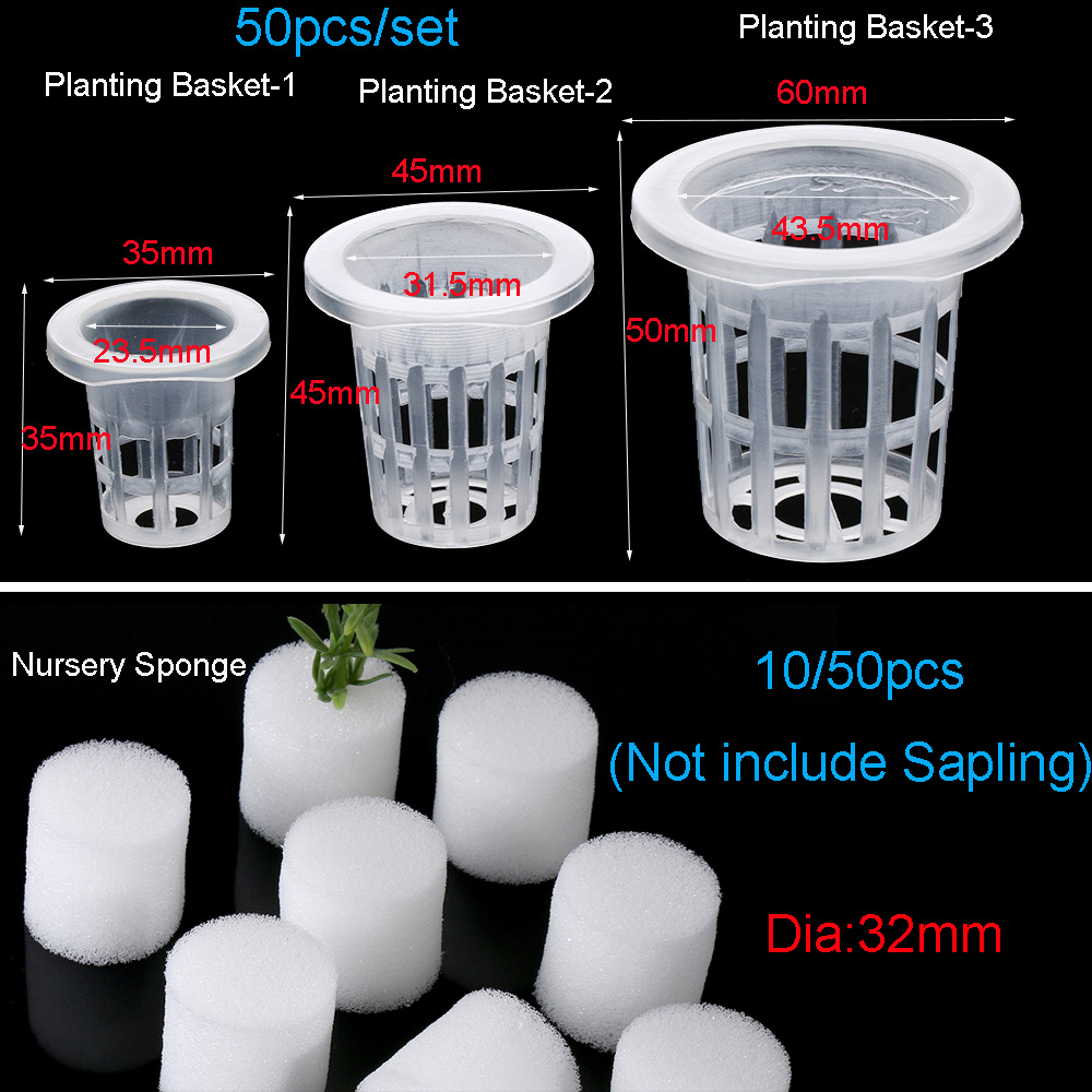 10/50pcs Durable Planting Aqua – Aquarium Plant Seeds Bewertung und Preis