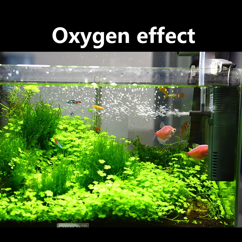 SUNSUN mini nano 111B 311B 611 – Planted Aquarium Products Bewertung und Preis
