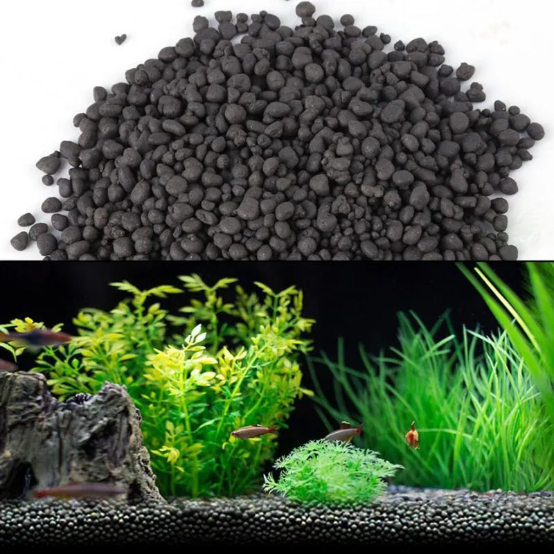 1kg Watergrass Aquarium Plants – Aquarium Plant Seeds Bewertung und Preis