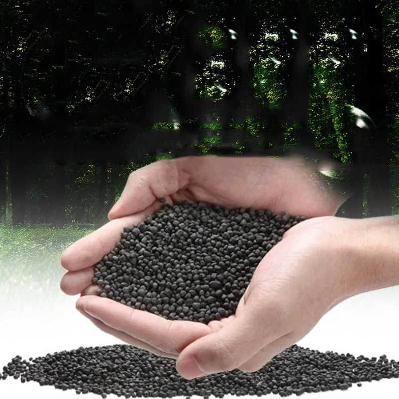 1kg Watergrass Aquarium Plants – Aquarium Plant Seeds Bewertung und Preis