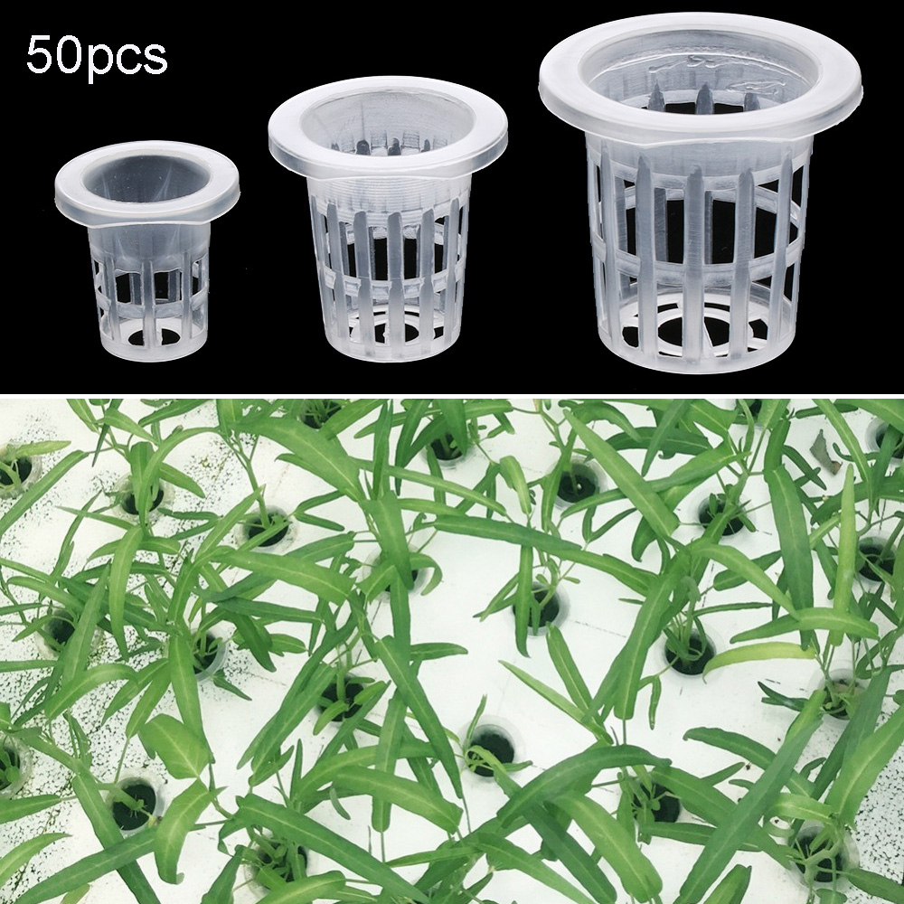 10/50pcs Garden Supplies Plant – Aquarium Plant Seeds Bewertung und Preis